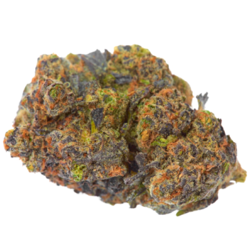 Coconut Kush Strain 2 Coconut Kush