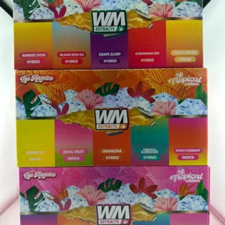 Mango Mochi Tropical Edition V6 Disposable (2025 Release) – indica