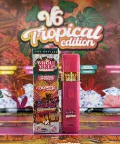 Sticky Stardust Tropical Edition V6 Disposable (2025 Release) Indica