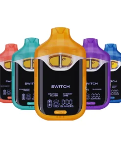 Boutiq Switch V4
